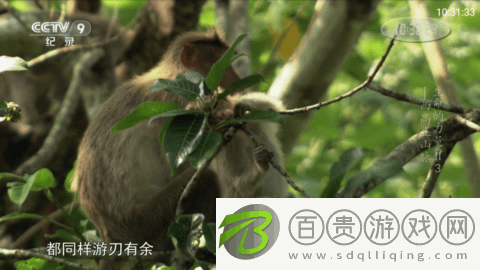 HAOTV電視直播app