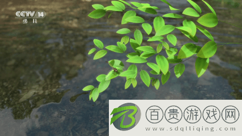 新星空TV2023最新版