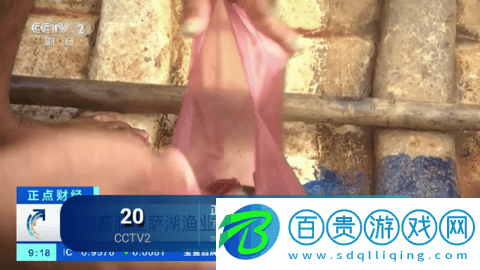 西夏直播PRO電視盒子版