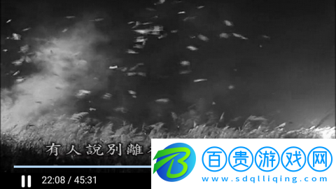 野菊花影院2023最新版