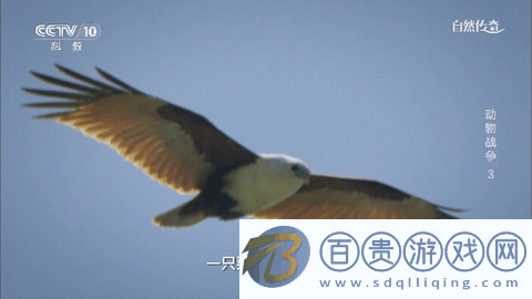 電信TV電視直播app