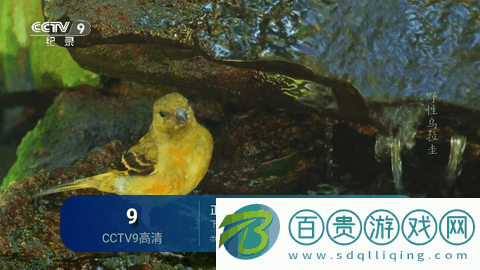 電信TV電視直播app