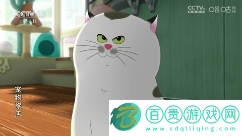 七星直播2024最新版