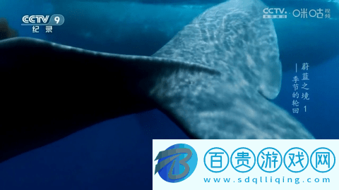 七星直播2024最新版