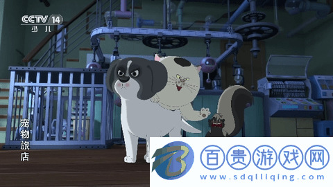 飛流直播2024最新版