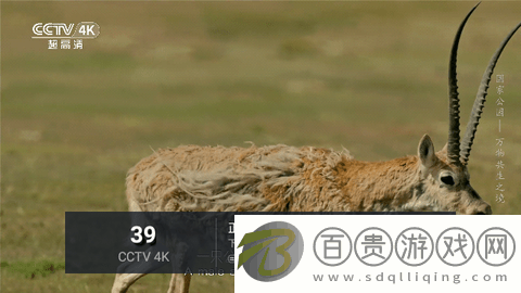 星星直播2023最新版