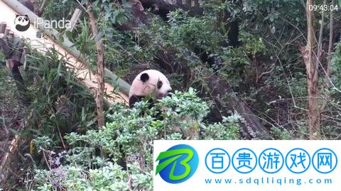 快播TVPro高清免費版