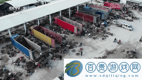 輕風電視免費版