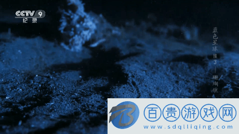 海燕TV2023最新版