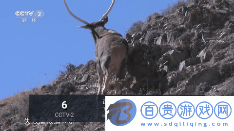 中田TV內置源版