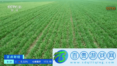 小鳥tv電視盒子版