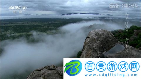 秋風TV電視盒子版