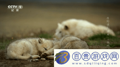 熱火電視直播app