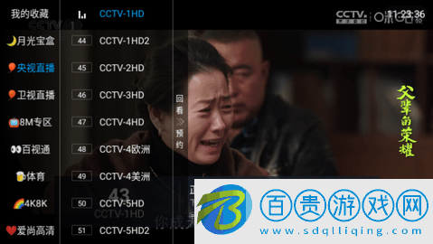 沉魚落雁電視盒子版