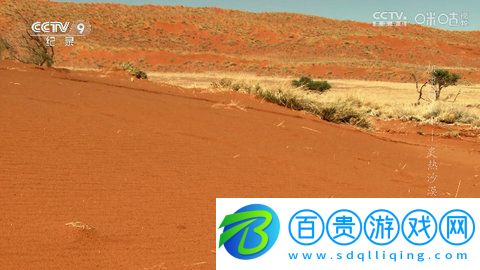 小太陽直播TV版下載-小太陽直播電視盒子版下載v1.0