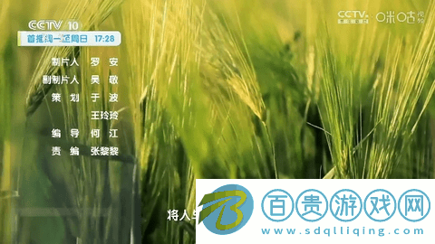 沉魚落雁TV2023最新版