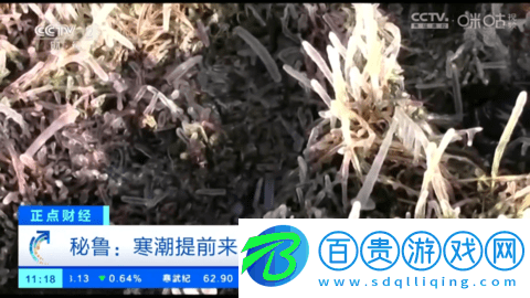 小生TV直播vip會員免費版