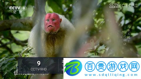 黑狗TV電視盒子版