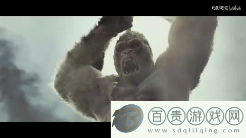 段友影視2024最新版