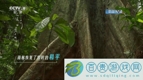 5G云電視官方版-5G云電視2023最新版下載v1.02.07