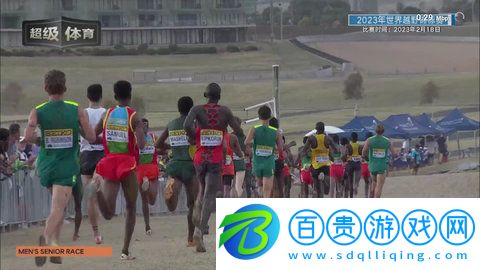 海螺直播tv永久免費版-海螺直播tv安卓版官方版下載v2.3