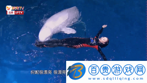 手指TV高清免費版