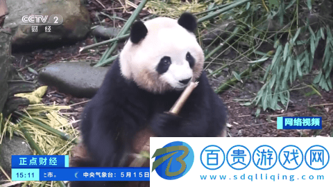 泰山TV2023最新版