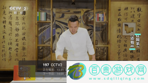 火炬DIYP2024最新版