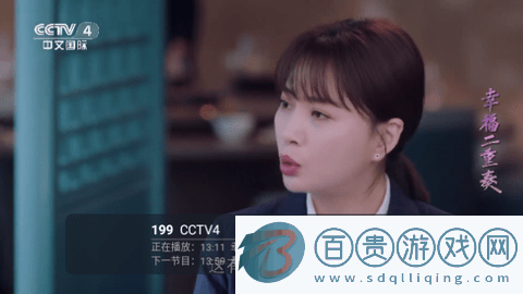 火炬DIYP2024最新版