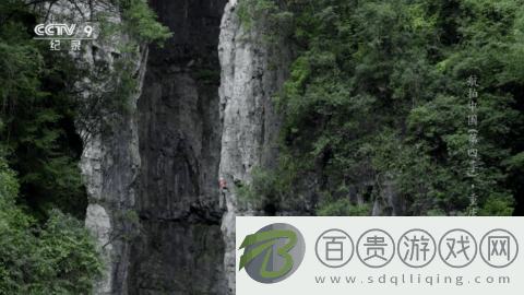 金馬影視2023最新版