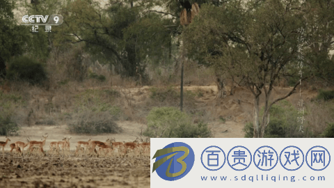 傳媒Star2023最新版