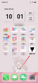 貓耳FM如何開啟原音模式-貓耳FM原音模式開啟方法